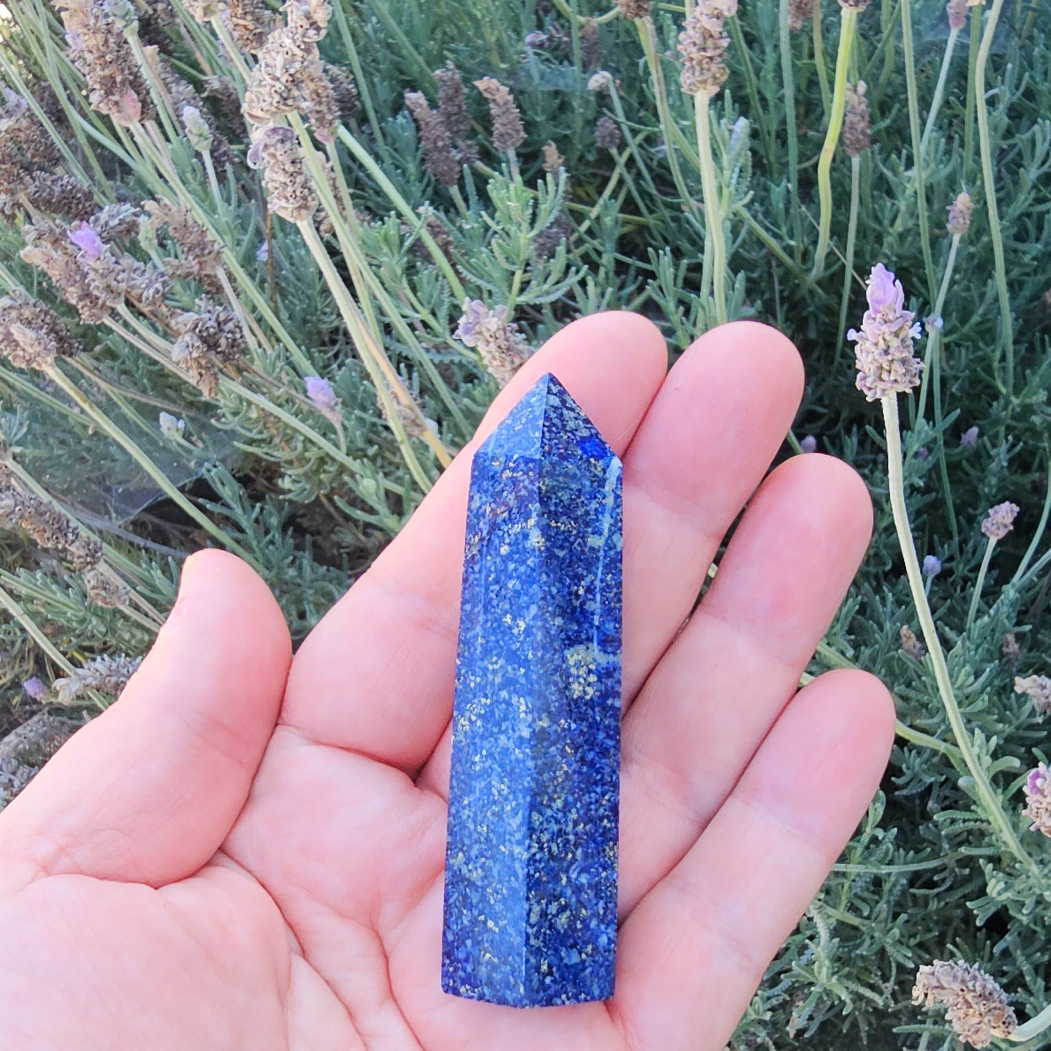 Lapis Lazuli Polished Points